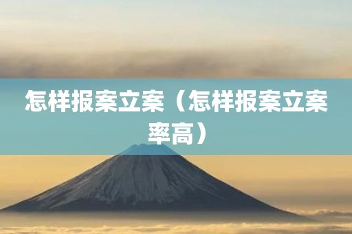 怎样报案立案（怎样报案立案率高）