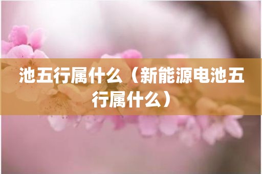 池五行属什么（新能源电池五行属什么）