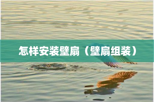 怎样安装壁扇（壁扇组装）