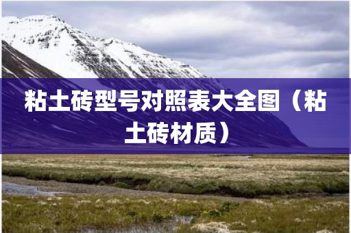 粘土砖型号对照表大全图（粘土砖材质）
