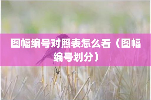 图幅编号对照表怎么看（图幅编号划分）