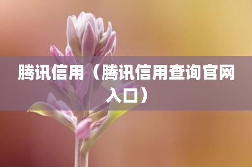 腾讯信用（腾讯信用查询官网入口）