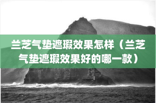 兰芝气垫遮瑕效果怎样（兰芝气垫遮瑕效果好的哪一款）