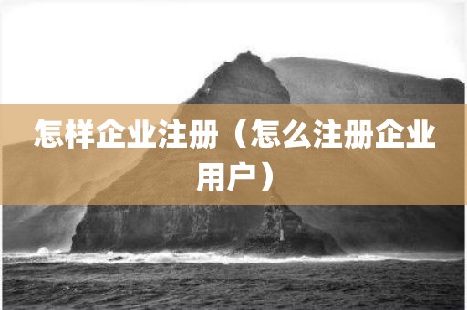 怎样企业注册（怎么注册企业用户）