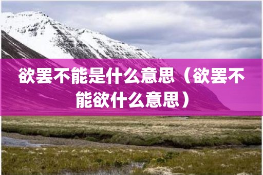 欲罢不能是什么意思（欲罢不能欲什么意思）