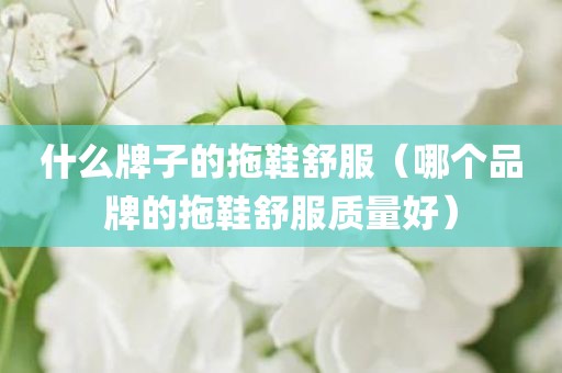 什么牌子的拖鞋舒服(哪个品牌的拖鞋舒服质量好)