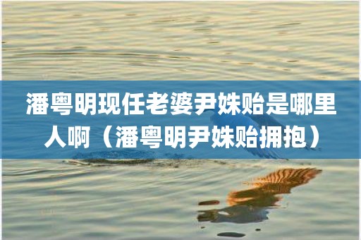 潘粤明现任老婆尹姝贻是哪里人啊（潘粤明尹姝贻拥抱）