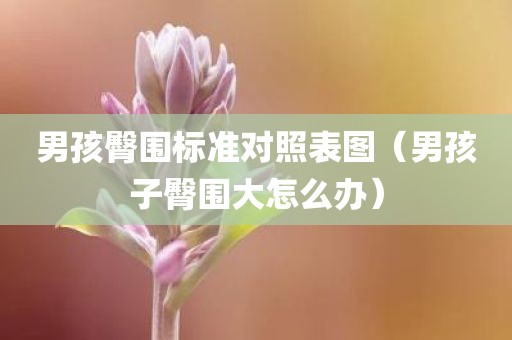 男孩臀围标准对照表图（男孩子臀围大怎么办）