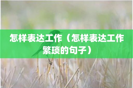 怎样表达工作（怎样表达工作繁琐的句子）
