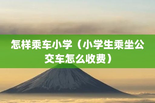 怎样乘车小学（小学生乘坐公交车怎么收费）