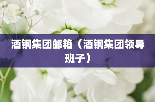 酒钢集团邮箱(酒钢集团领导班子) 酒钢集团邮箱(酒钢集团领导班子)
