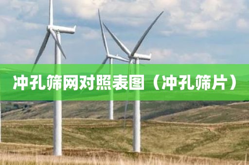 冲孔筛网对照表图（冲孔筛片）