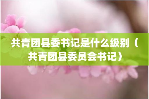 共青团县委书记是什么级别（共青团县委员会书记）