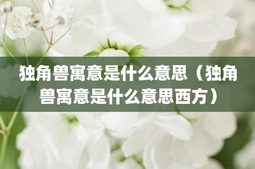 独角兽寓意是什么意思（独角兽寓意是什么意思西方）