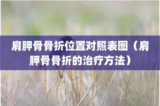 肩胛骨骨折位置对照表图（肩胛骨骨折的治疗方法）