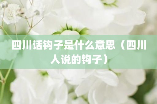 四川话钩子是什么意思（四川人说的钩子）