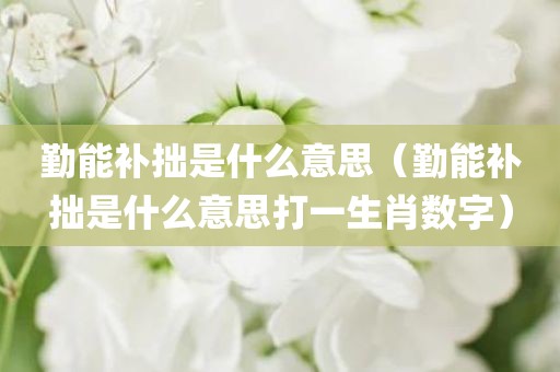 勤能补拙是什么意思（勤能补拙是什么意思打一生肖数字）
