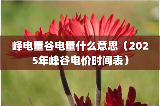 峰电量谷电量什么意思（2025年峰谷电价时间表）