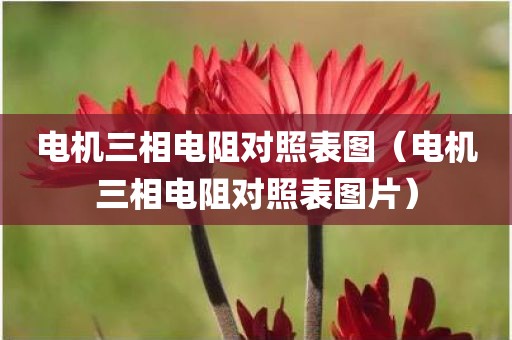 电机三相电阻对照表图（电机三相电阻对照表图片）