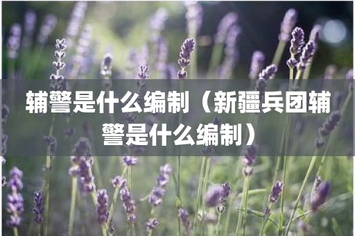 辅警是什么编制(新疆兵团辅警是什么编制)