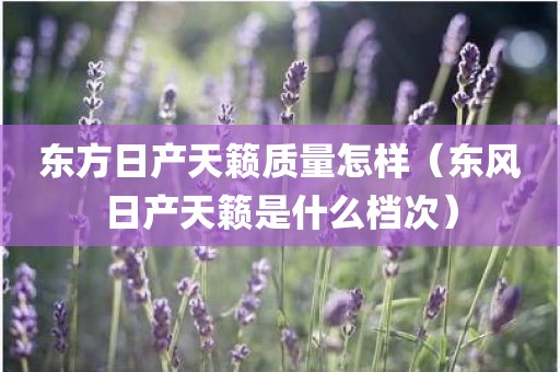 东方日产天籁质量怎样（东风日产天籁是什么档次）