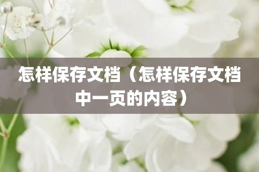 怎样保存文档（怎样保存文档中一页的内容）