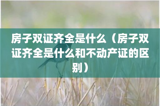 房子双证齐全是什么（房子双证齐全是什么和不动产证的区别）