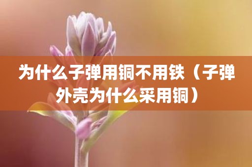 为什么子弹用铜不用铁（子弹外壳为什么采用铜）