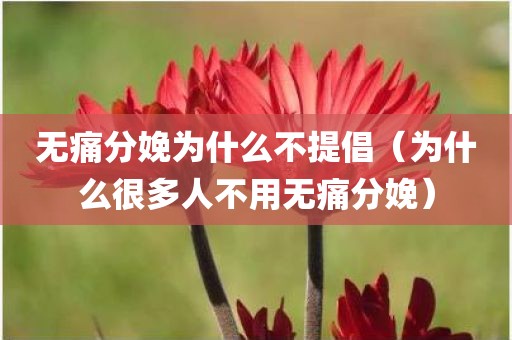 无痛分娩为什么不提倡（为什么很多人不用无痛分娩）