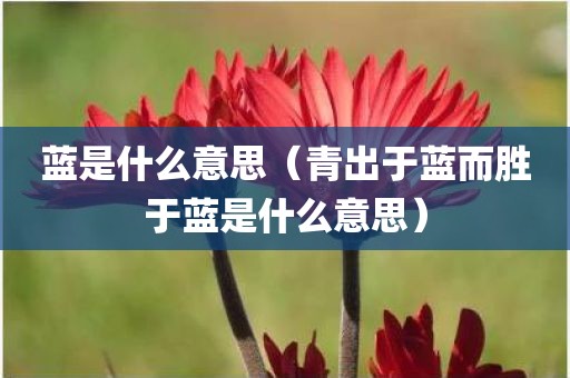 蓝是什么意思（青出于蓝而胜于蓝是什么意思）