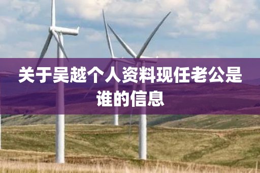 关于吴越个人资料现任老公是谁的信息