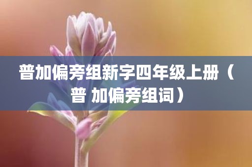 普加偏旁组新字四年级上册（普 加偏旁组词）