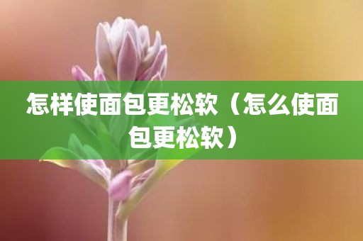 怎样使面包更松软（怎么使面包更松软）