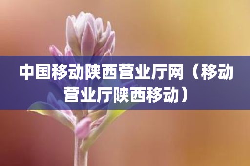 中国移动陕西营业厅网(移动营业厅陕西移动)