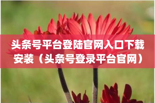 头条号平台登陆官网入口下载安装（头条号登录平台官网）