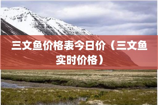 三文鱼价格表今日价（三文鱼实时价格）