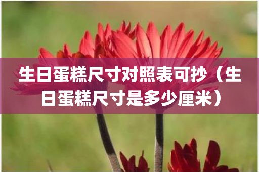生日蛋糕尺寸对照表可抄（生日蛋糕尺寸是多少厘米）