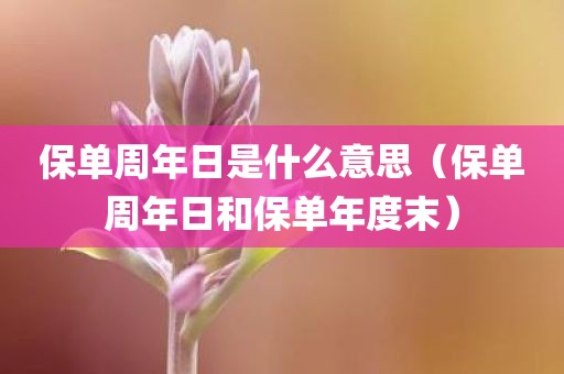 保单周年日是什么意思(保单周年日和保单年度末)