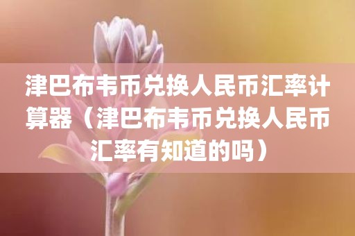津巴布韦币兑换人民币汇率计算器（津巴布韦币兑换人民币汇率有知道的吗）