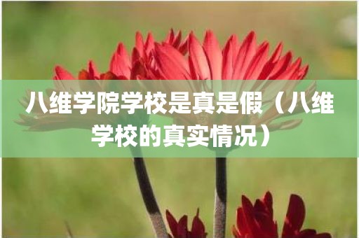 八维学院学校是真是假（八维学校的真实情况）