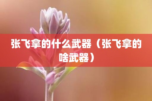 张飞拿的什么武器（张飞拿的啥武器）