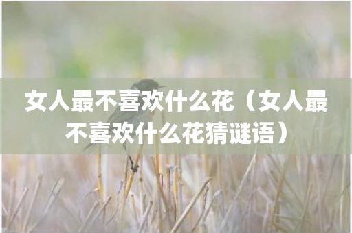 女人最不喜欢什么花（女人最不喜欢什么花猜谜语）