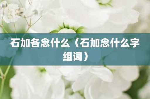 石加各念什么（石加念什么字组词）