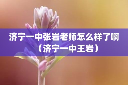 济宁一中张岩老师怎么样了啊（济宁一中王岩）