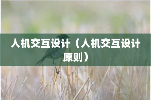 人机交互设计(人机交互设计原则)