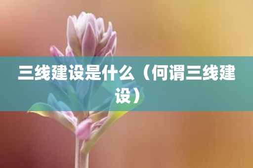 三线建设是什么（何谓三线建设）