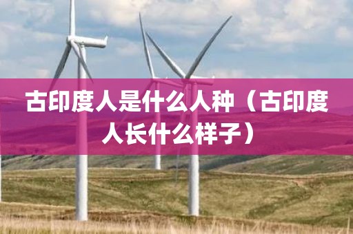 古印度人是什么人种（古印度人长什么样子）