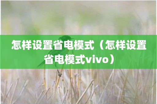 怎样设置省电模式（怎样设置省电模式vivo）
