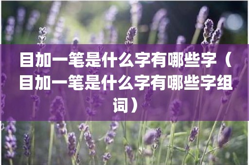 目加一笔是什么字有哪些字（目加一笔是什么字有哪些字组词）