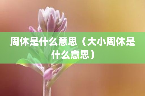 周休是什么意思（大小周休是什么意思）
